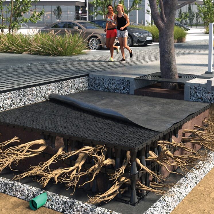 Urbanforest Gallery 1