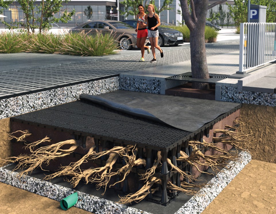 Urbanforest Gallery 1