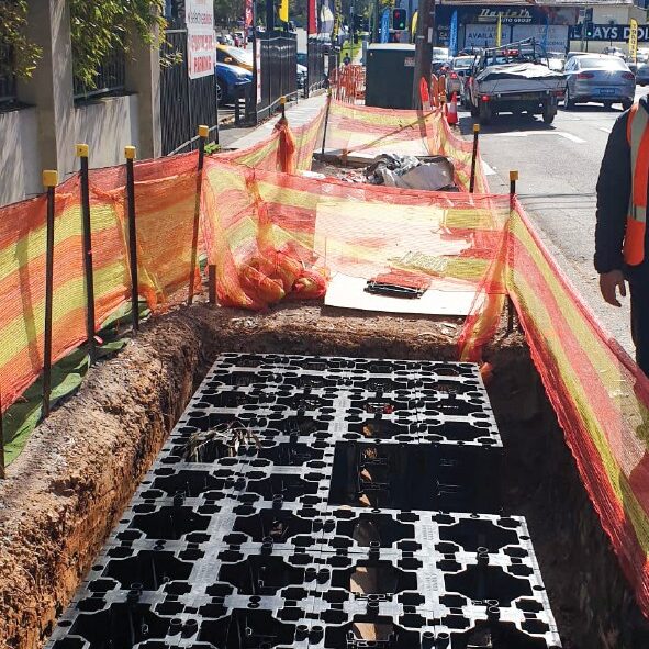 Urbanforest Gallery 2