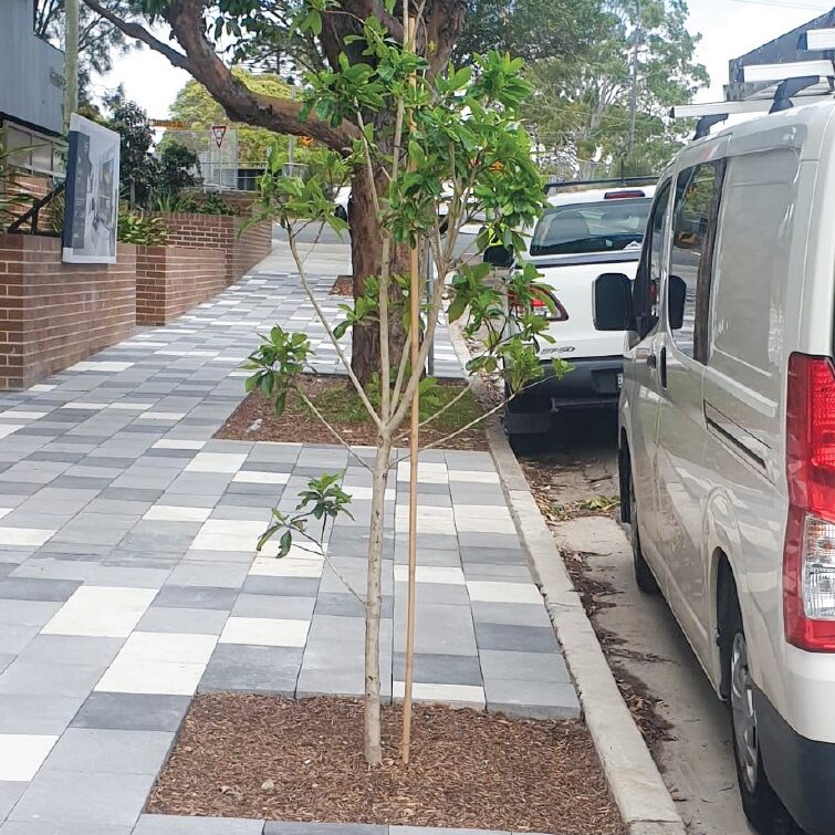 Urbanforest Gallery 4