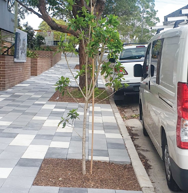 Urbanforest Gallery 4